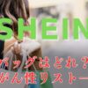 【バッグどれ？】SHEIN発がん性物質一覧リスト！拭くor洗えば平気？対策も知りたい