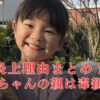 【炎上まとめ】ののかちゃんの親は毒親＆エゴ？妹を止めない動画がかわいそう…！